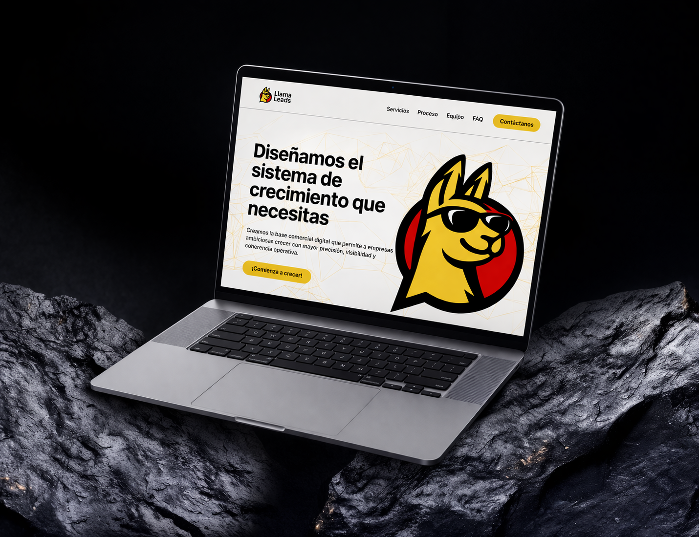 Llamaleads Case Study